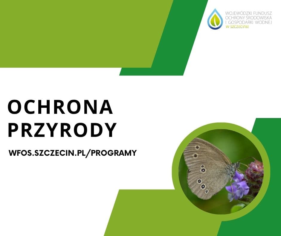 6,5 mln zł na edukację ekologiczną, ochronę przyrody i usuwanie groźnej rośliny