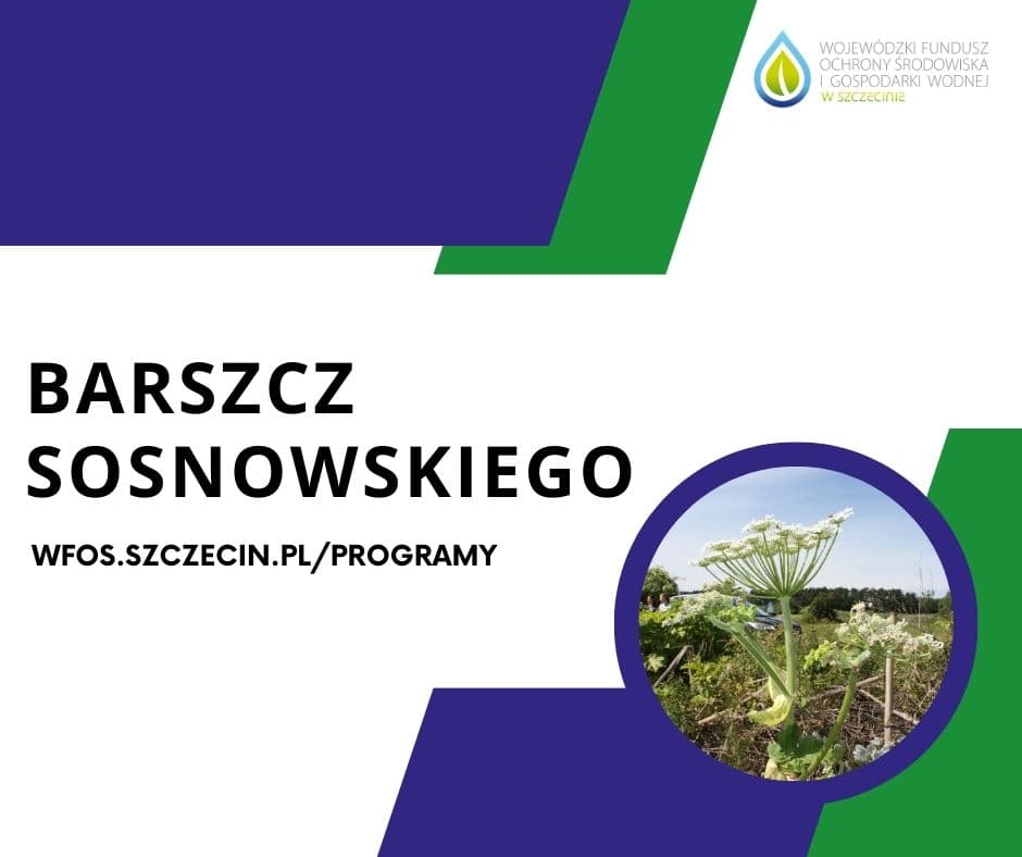 Kampania „Ekologiczny Senior” – Karlino